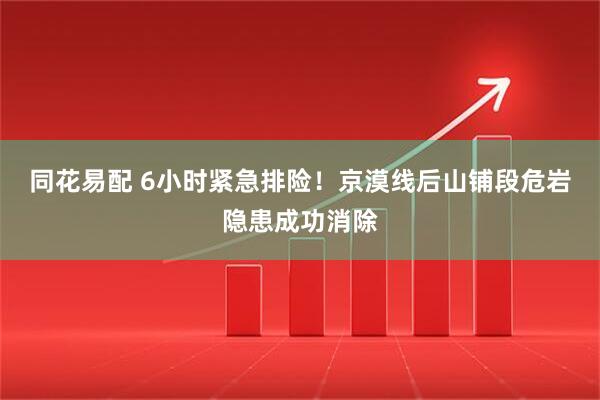 同花易配 6小时紧急排险！京漠线后山铺段危岩隐患成功消除