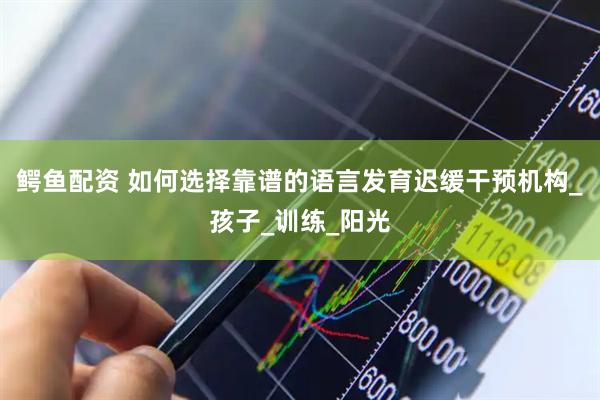 鳄鱼配资 如何选择靠谱的语言发育迟缓干预机构_孩子_训练_阳光
