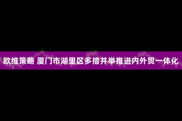 欧维策略 厦门市湖里区多措并举推进内外贸一体化