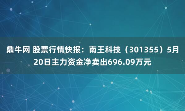 鼎牛网 股票行情快报:南王科技(301355)5月20日主力资金净卖出696.09万元