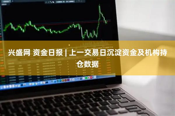 兴盛网 资金日报 | 上一交易日沉淀资金及机构持仓数据
